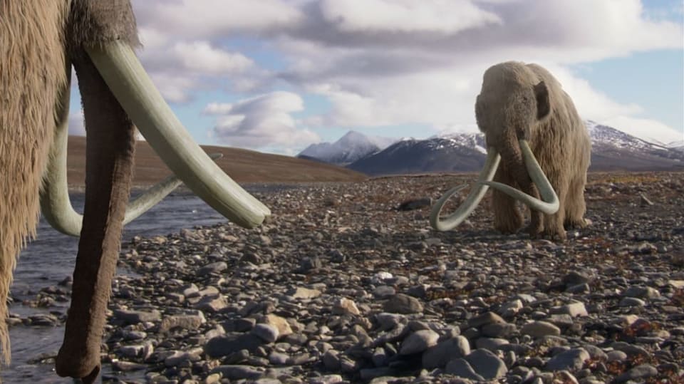 Mamut: Tajemství z ledu